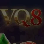 vq8
