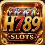 h789 game